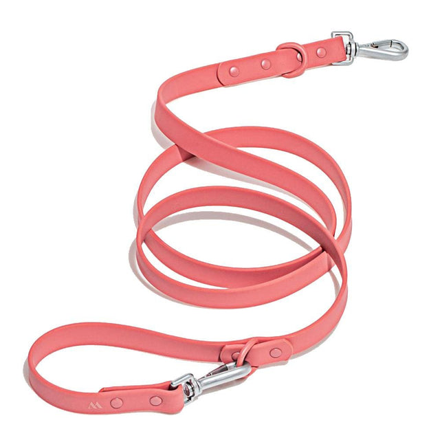 Wild One Dog Leash -Red