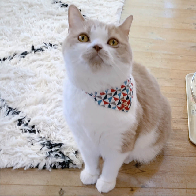 Necoichi Ninja Cat Bandana Collar Blue