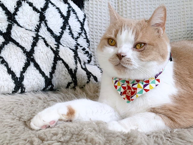 Necoichi Ninja Cat Bandana Collar Yellow