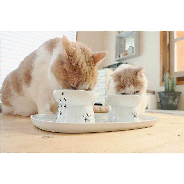 Necoichi Dining Tray Double