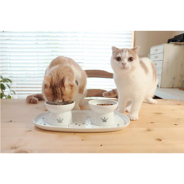 Necoichi Dining Tray Double