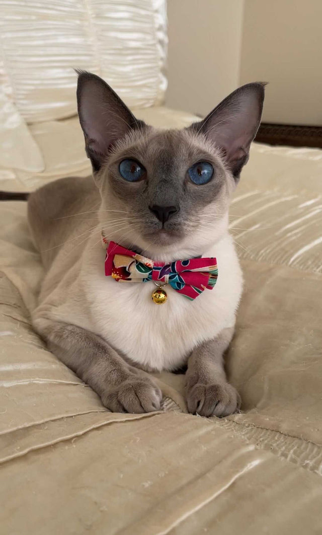 Necoichi Yukata Bow Tie Cat Collar Pink