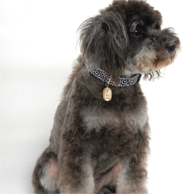 Necoichi Ninja Dog Collar Navy