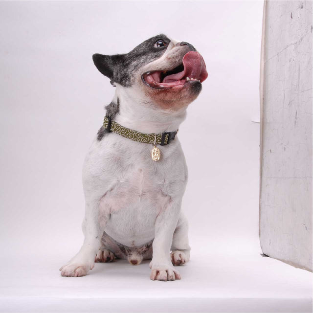 Necoichi Ninja Dog Collar Green