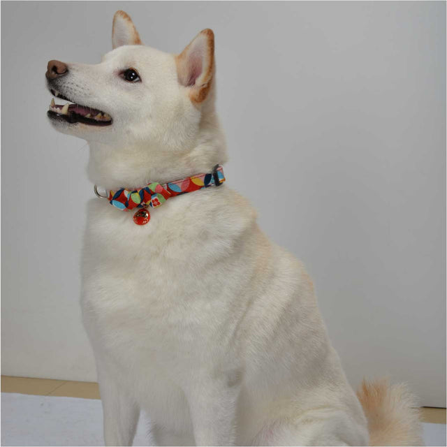 Necoichi Daruma Charm Bow Tie Dog Collar Red