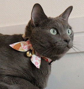 Necoichi Oribon Kimono Bow Tie Cat Collar White