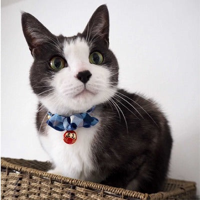 Necoichi Daruma Charm Bow Tie Cat Collar Blue