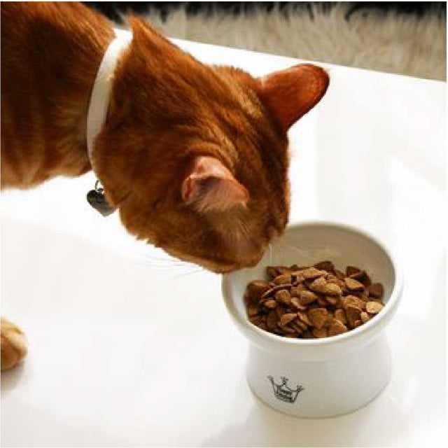 Necoichi Raised Cat Food Bowl (Cupcake)