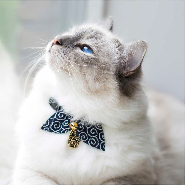 Necoichi Ninja Cat Collar Navy