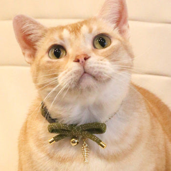 Necoichi ZEN Fish Charm Cat Collar Green