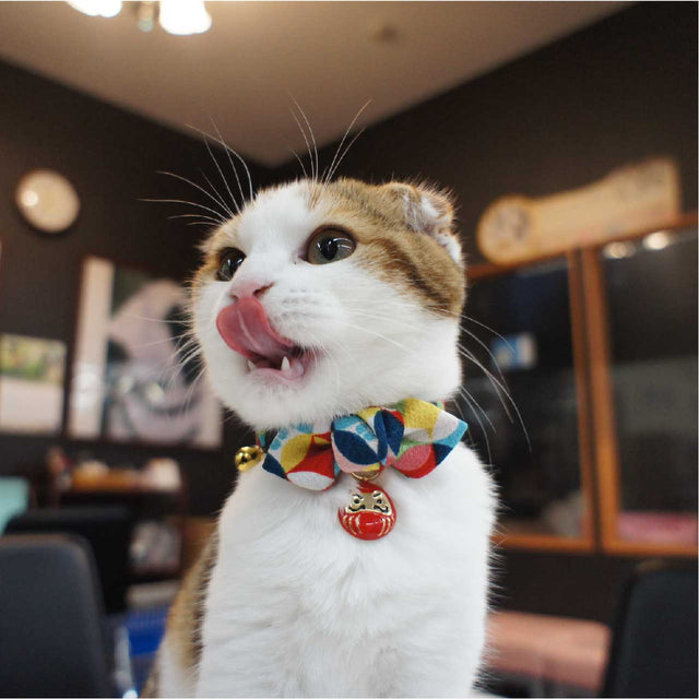 Necoichi Daruma Charm Bow Tie Cat Collar Red