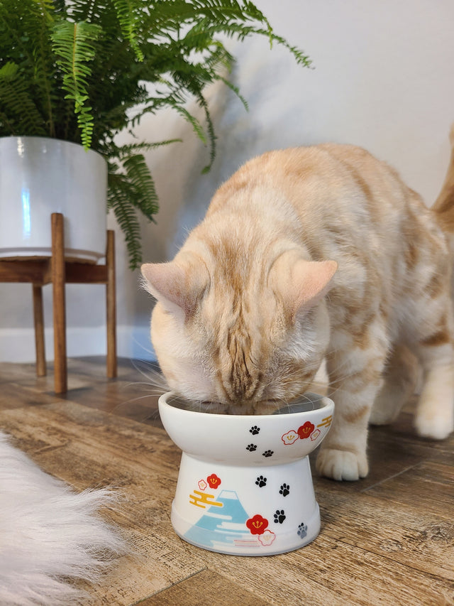 Necoichi Raised Cat Food Bowl (Fuji)