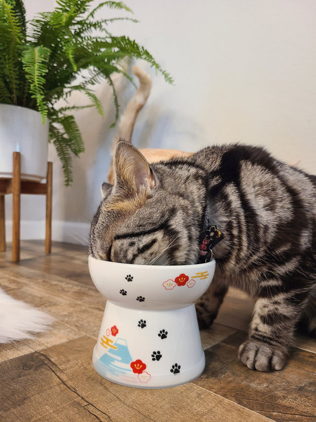 Necoichi Raised Cat Food Bowl (Fuji)