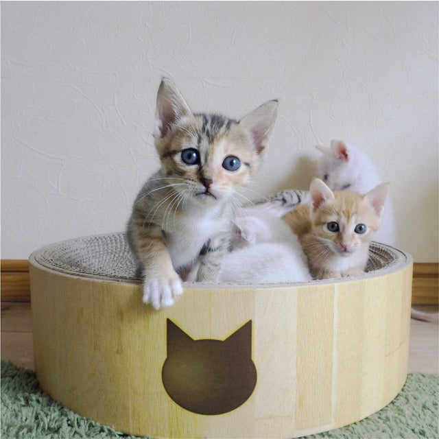 Necoichi Cozy Cat Scratcher Bowl Oak