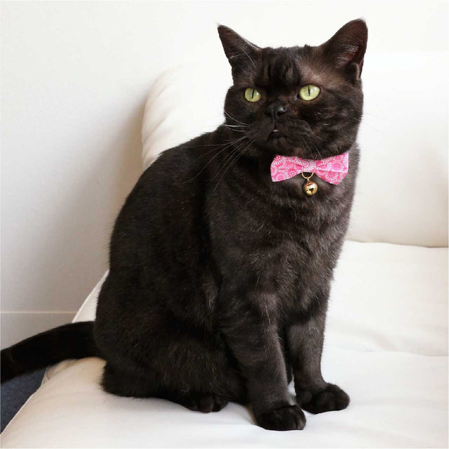 Necoichi Kiku Ribbon Bow Tie Cat Collar Pink