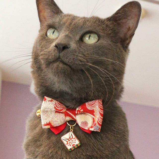 Necoichi Kabuki Charm Bow Tie Cat Collar Red