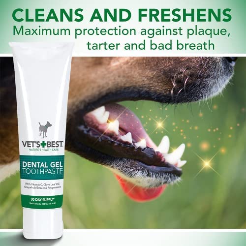 Vet's Best Dental Gel Toothpaste for Dogs 100g