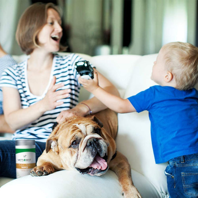 Vet's Best Natural Flea Tick Wipes For Dogs