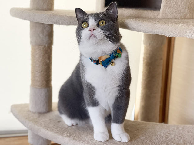 Necoichi Yukata Bow Tie Cat Collar Blue