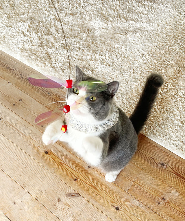 Necoichi Crinkly Critters Dancing Dragonfly Trio Cat Wand