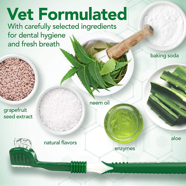 Vet's Best Dog Toothbrush & Enzymatic Toothpaste Set