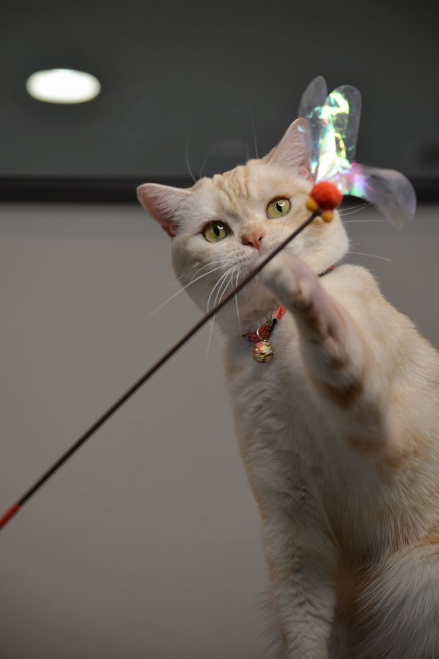 Necoichi Crinkly Critters Fluttery Fish Cat Wand
