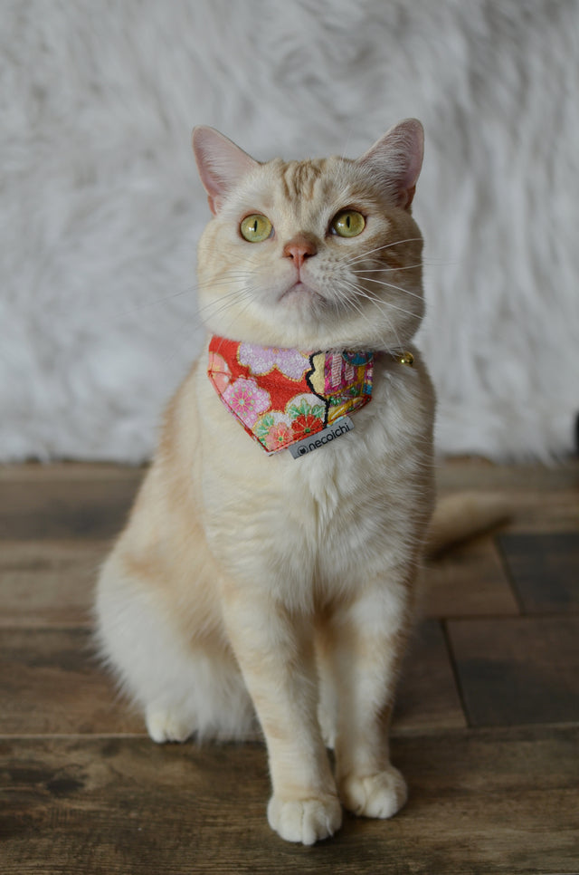Necoichi Bandana Cat Collar With Air Tag Pocket (Blossoms Red)