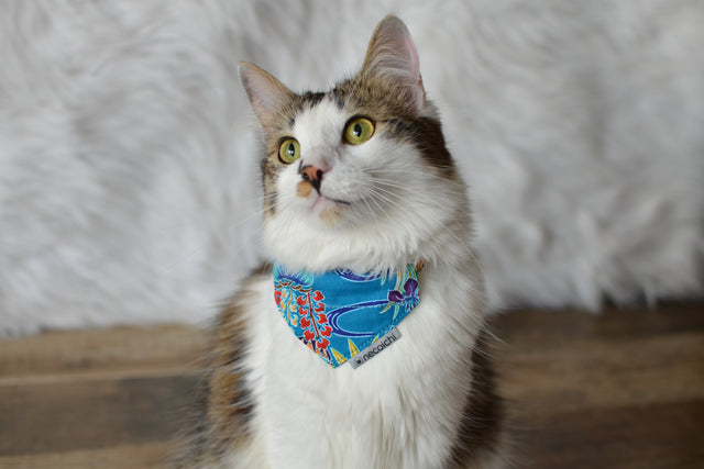Necoichi Bandana Cat Collar With Air Tag Pocket (Yukata Blue)