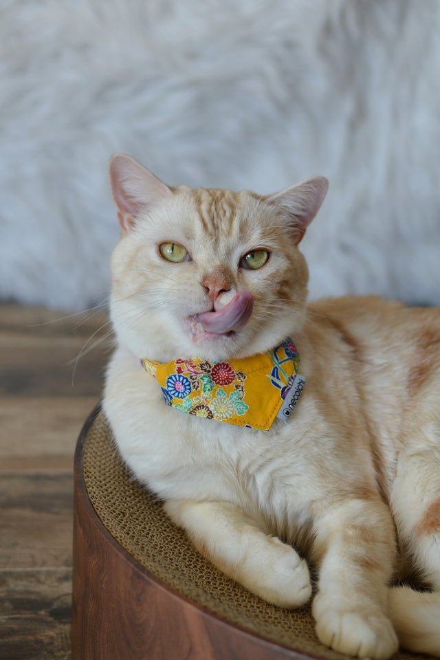 Necoichi Bandana Cat Collar With Air Tag Pocket (Yukata Yellow)