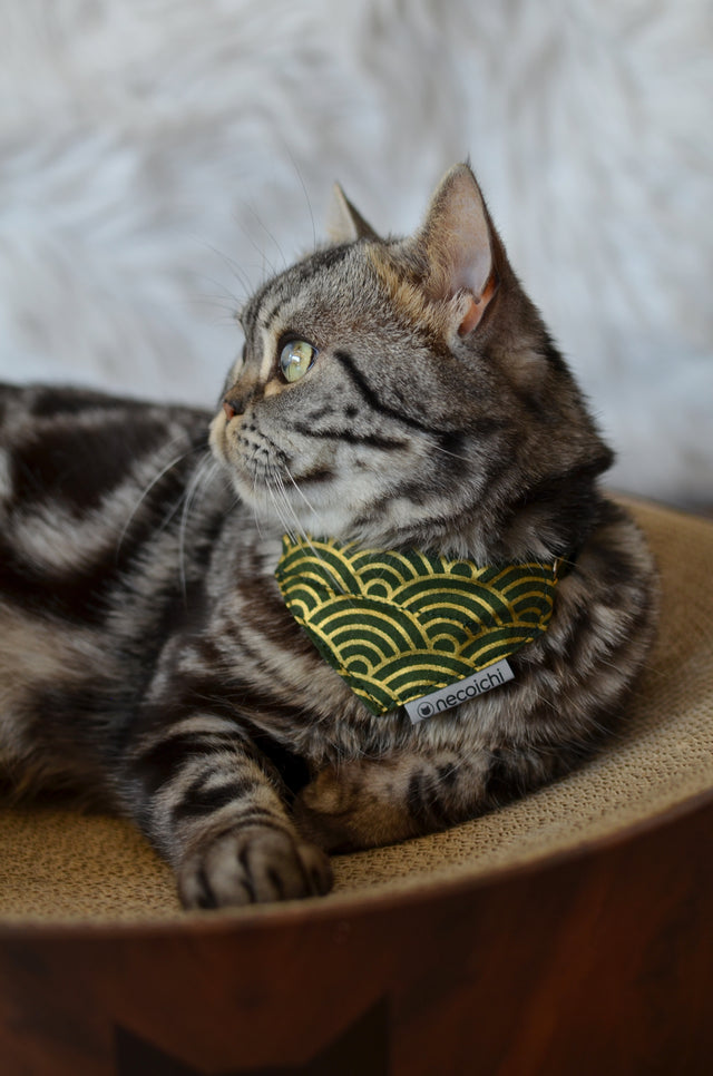 Necoichi Bandana Cat Collar With Air Tag Pocket (Gilded Wave Green)