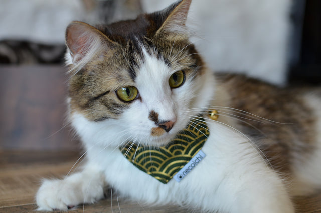 Necoichi Bandana Cat Collar With Air Tag Pocket (Gilded Wave Green)