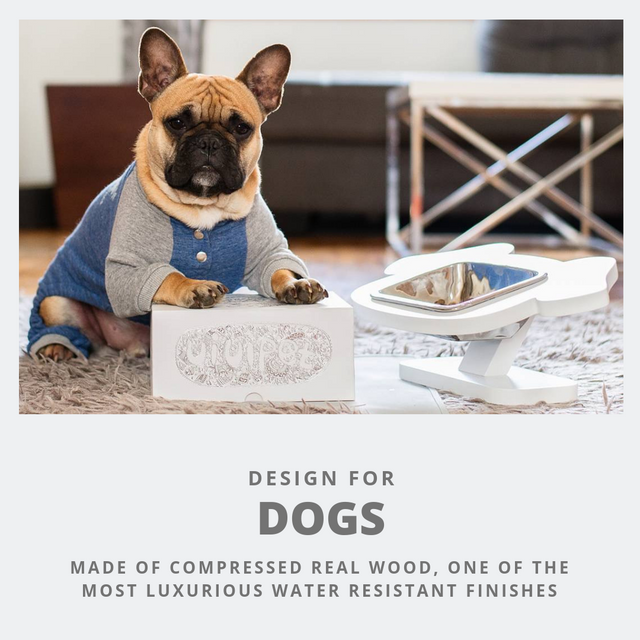 ViviPet Pawsome Elevated Dog Feeder for Cats and Dogs
