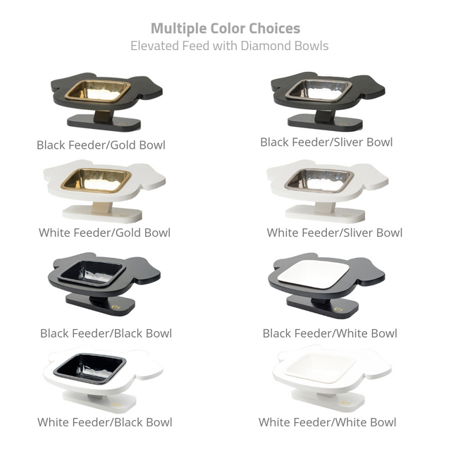 ViviPet Pawsome Elevated Dog Feeder for Cats and Dogs