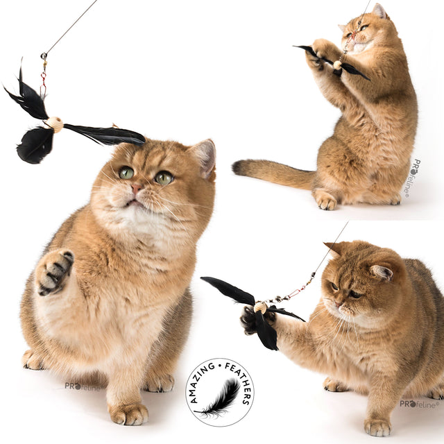 Profeline - Cat Toy Propeller Wand