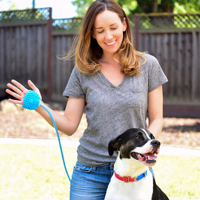 Aquapaw Pet Bathing Tool - Sprayer & Scrubber in One