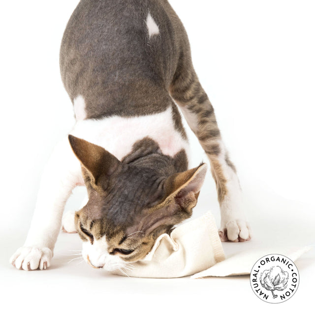 Profeline - Cat Toy Catnip Valerian Refill Pouch