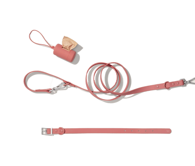 Wild One Dog Collar Walk Kit