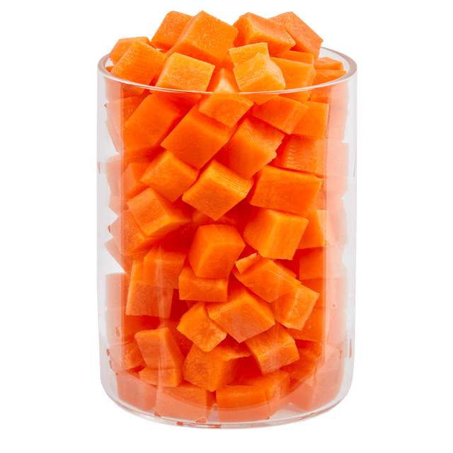 Terra Canis Dog Gentle Meal Professor Moro's Carrot Soup