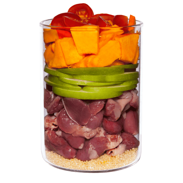 Terra Canis Puppy Wet Food Chicken