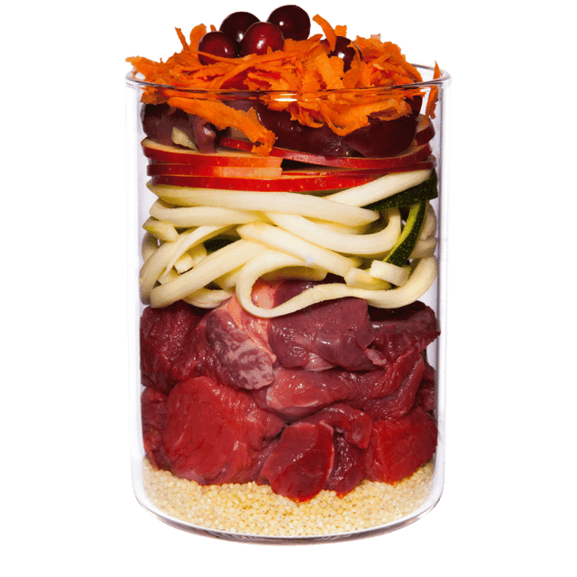 Terra Canis Puppy Wet Food Beef