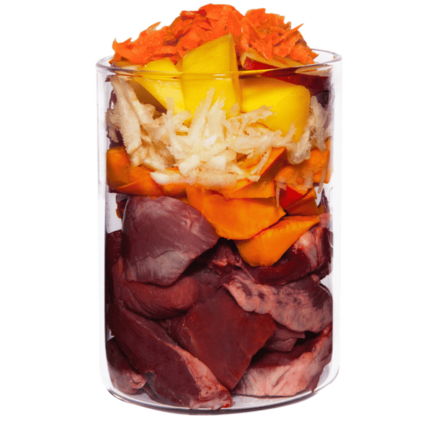 Terra Canis Grain Free Dog Wet Food Lamb