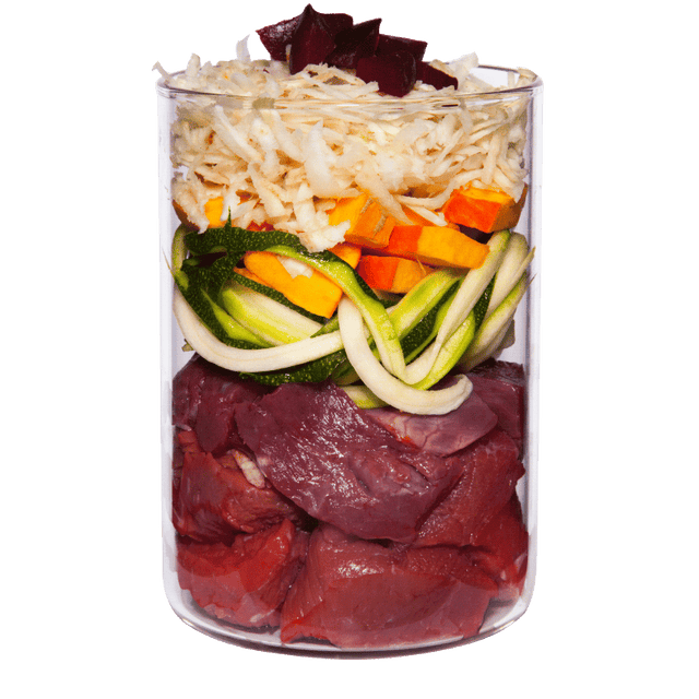 Terra Canis Grain Free Dog Wet Food Beef