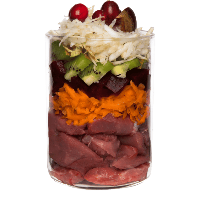 Terra Canis Grain Free Dog Wet Food Wild Boar