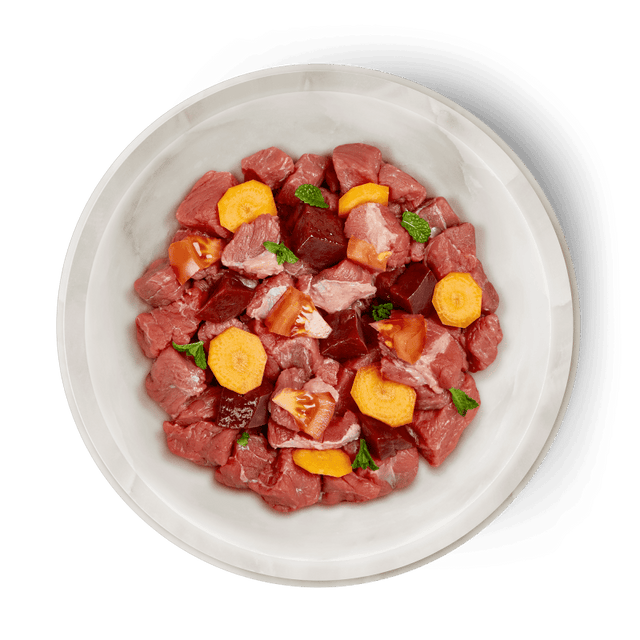 Terra Felis Grain Free Cat Wet Food, Beef