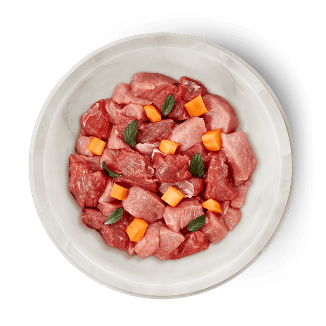 Terra Felis Grain Free Cat Wet Food, Beef & Rabbit