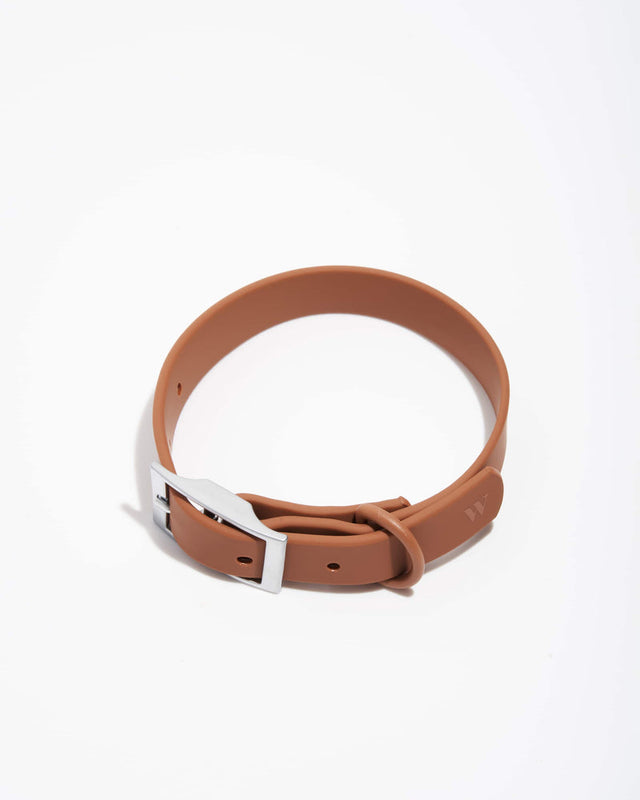 Wild One Dog Collar - Cocoa