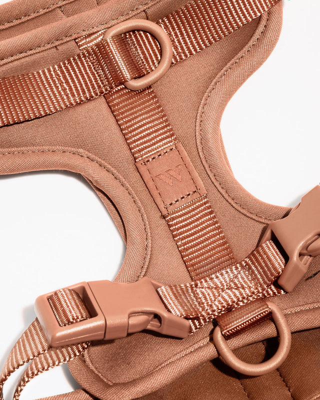 Wild One Dog Harness - Cocoa