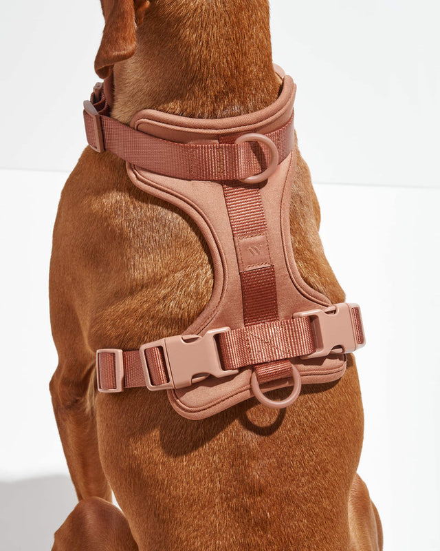 Wild One Dog Harness - Cocoa