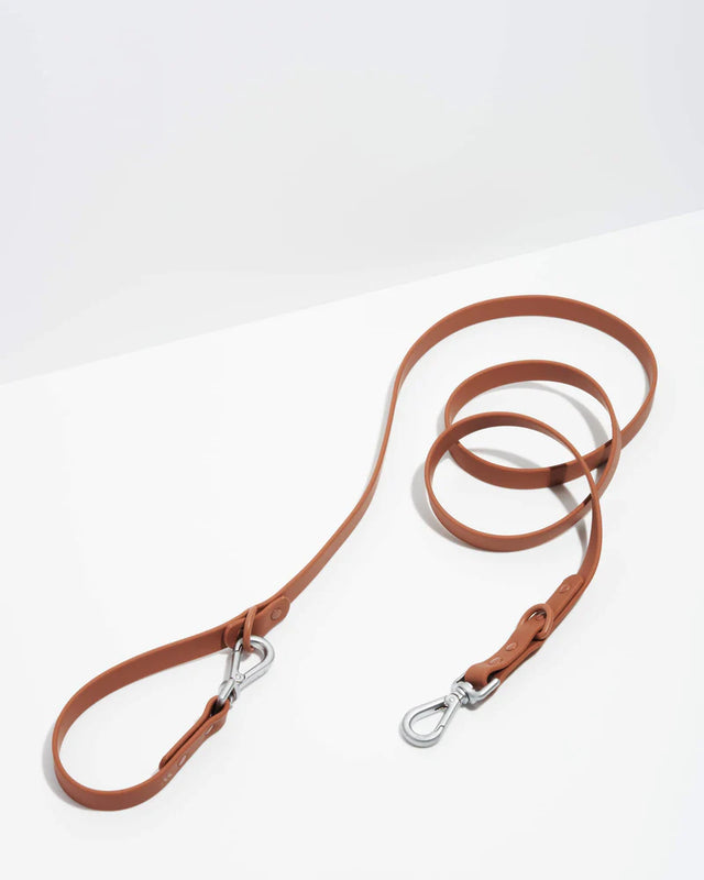 Wild One Dog Leash -Cocoa