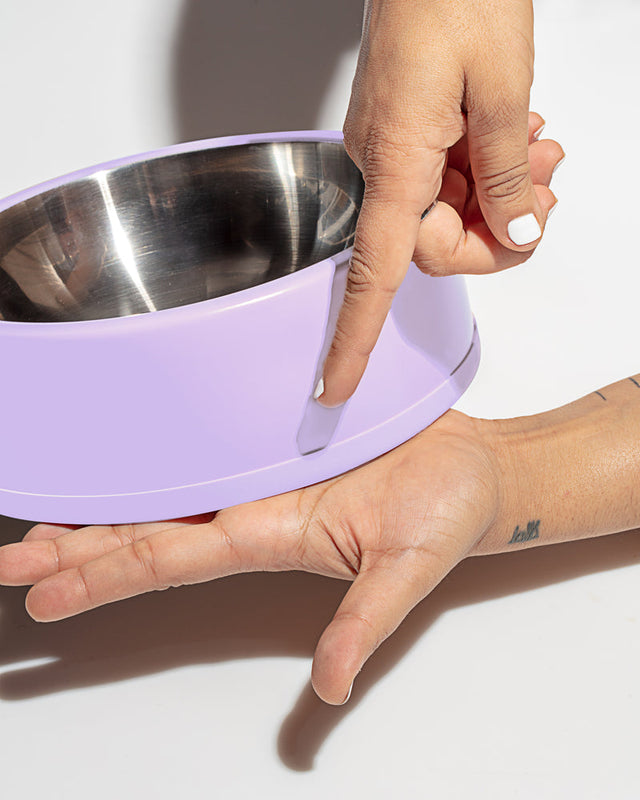 Wild One Dog Bowl- Lilac